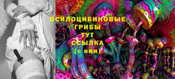 скорость Арсеньев