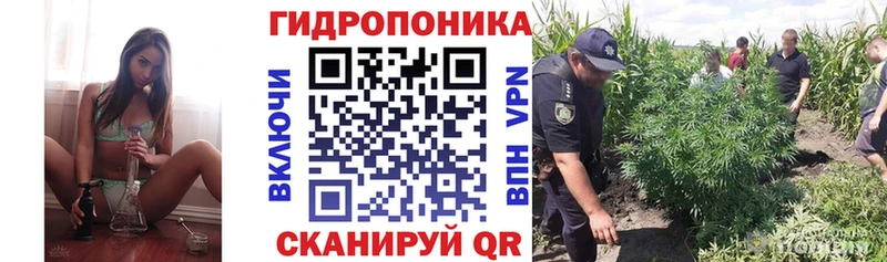 Бошки Шишки THC 21%  Кемь 